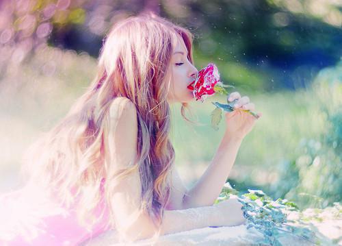 主角阮新月晏褚小说 阮新月晏褚小说全文免费阅读