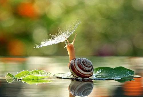 李常平楚娇然免费阅读第2章 李常平楚娇然大结局