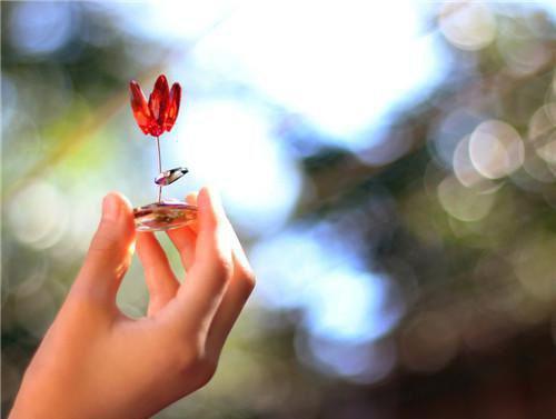 和病娇老公离婚了全文目录 江聿江闻小说免费阅读无广告