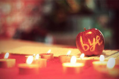 傅瑾言温念陆淼免费阅读第4章 傅瑾言温念陆淼大结局