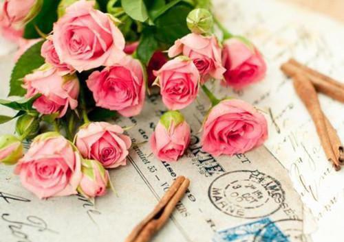 主角程嘉言程嘉鱼小说免费阅读最新章节