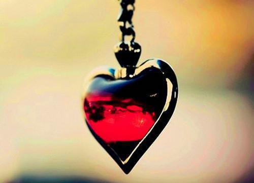 外出的夫君带回来一个女子后，我提了和离陆满陆行之沈芙小说(完整)免费阅读