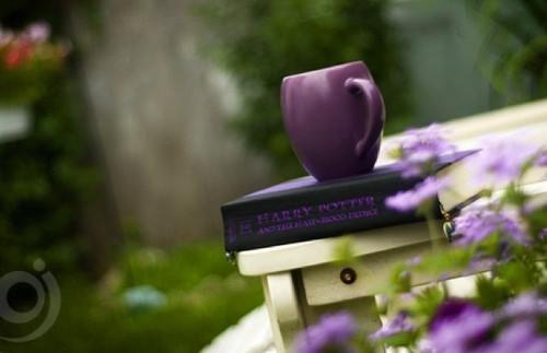 沈逸沐婉婉方明宇主角小说叫什么 真爱考验免费阅读全文