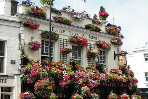 碧莲萧然结局是什么 碧莲萧然免费阅读全文