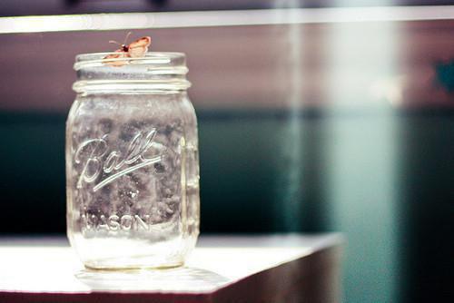 司棠秋傅惊鸿全文最新章节正版小说免费阅读