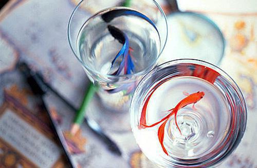 无端较量小说已完结版全章节 乔安慧宋丽免费阅读