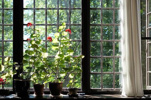 我有霸总光环穿书楚楚李泰河燕晗夏笑笑小说免费试读