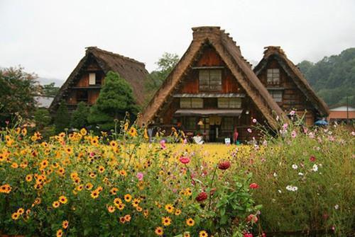 主角名是贺楠苏雯全文免费阅读正版