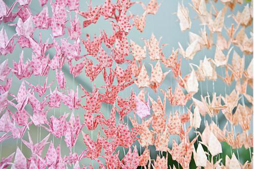 《许雾周绵绵陆言姜止小说》无弹窗全文免费阅读