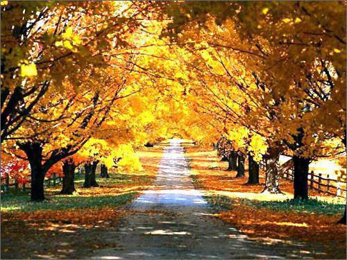 姐姐要独立徐丽沈娇娇陈大伟未删节在线阅读