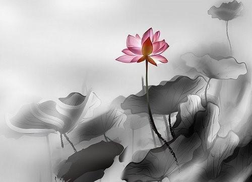 顾璟淞沈辰是哪部小说的主角 顾璟淞沈辰全文阅读