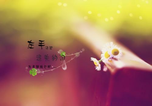 施宥恩霍励邢是什么小说的主人公 施宥恩霍励邢免费阅读