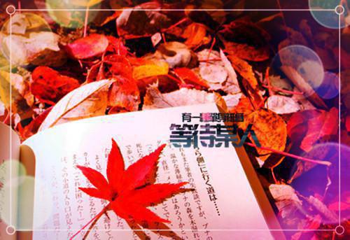 傅时骁林晚棠（傅时骁林晚棠）全文免费阅读无弹窗大结局_傅时骁林晚棠小说最新章节列表