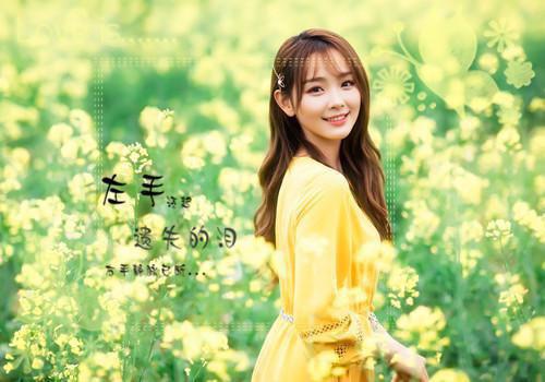 叶晚秋邱泽慕第三章 叶晚秋邱泽慕小说免费阅读