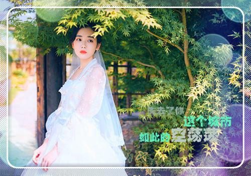 主角江月柔盛景瑕小说免费阅读最新章节