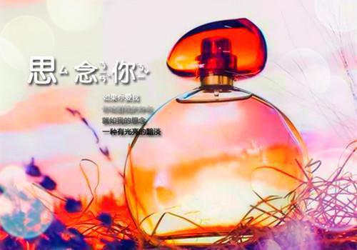 何律言孟穗宁第四章 何律言孟穗宁小说免费阅读