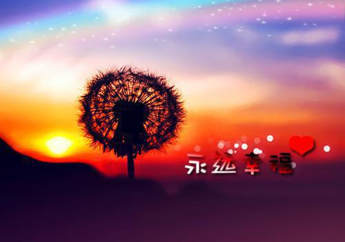 沈妙妙周砚林知心林知意免费小说 沈妙妙周砚林知心林知意完结版在线阅读