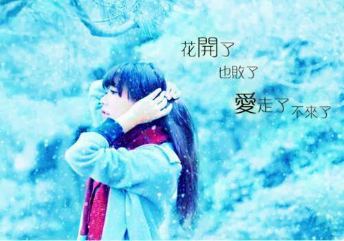 云卿月凤苍小说全文 云卿月凤苍小说免费阅读大结局