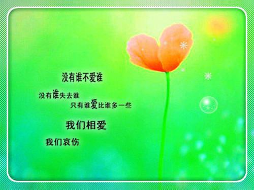 (完整版)林愿景顾司珩小说免费阅读无广告