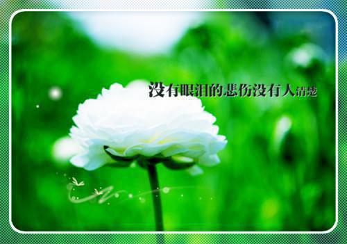 朝朝暮暮小说 周期与林惊月周珩生在线阅读