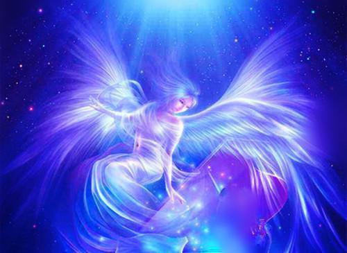 刚分手，高冷总裁找我领证陆凡夏心仪小说在线免费阅读