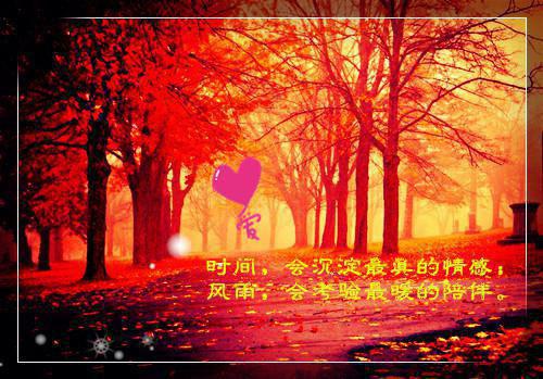 江瑶陆靳琛是什么小说的主人公 江瑶陆靳琛免费阅读