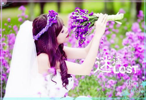 云惊鸿墨染小说阅读 云惊鸿墨染全文免费无广告