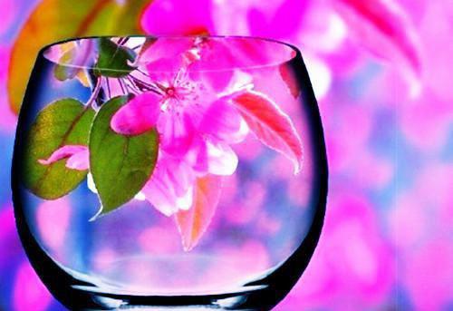 男女主角是江月沈衍的小说 重生辣妻撩夫忙在线免费阅读