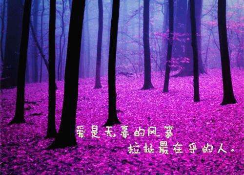 厉骁颜翘正版小说强推厉骁颜翘免费小说无弹窗