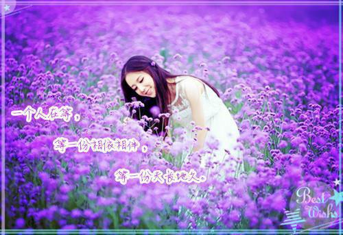 林婉柔哪里可以看 林婉柔免费阅读第一章