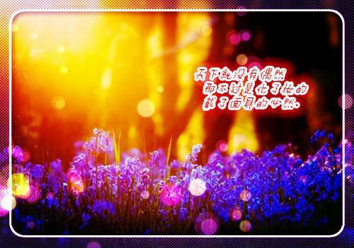 奶爸李锋(锋少)张雪小说 隐龙大少完整版阅读