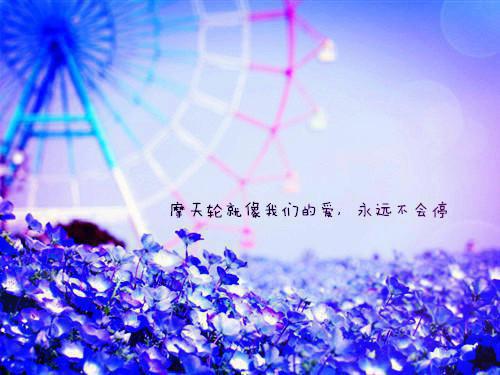 主角是纪意欢顾敛景的小说免费阅读全文大结局