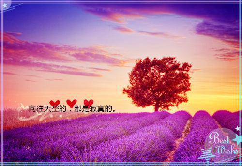 《岁岁.》最新章节免费阅读by半生瓜无广告小说