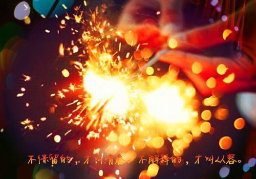 秦乐微黎在野小说章节目录 秦乐微黎在野免费阅读第9章