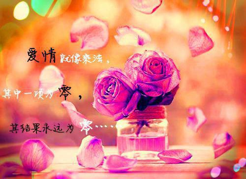 穿越以后，我成了主角的反派老爹君无尘苏凡全文免费阅读(已完结)