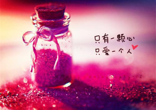 谢执玉赵瑾欢是什么小说的主人公 谢执玉赵瑾欢免费阅读