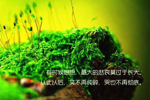 周明心心小说全文 周明心心小说免费阅读大结局