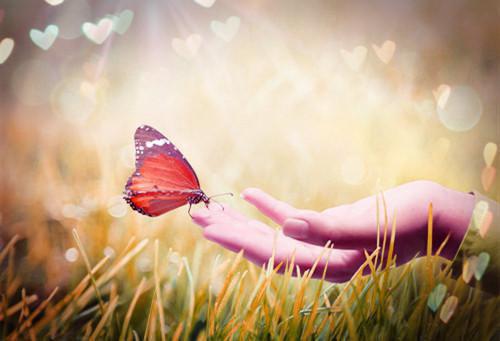 朴幼恩贺庭樾小说名字 朴幼恩贺庭樾全文免费阅读