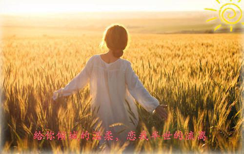 晓晓免费全本小说 晓晓章节目录