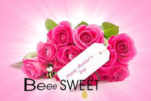 安妮安姐小说全文阅读 安妮安姐第1章