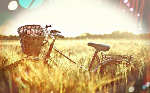 孟云裳陆宸骁小说名 重生养娃，衡王妃她变强了宴千惜在线阅读