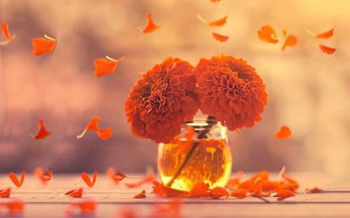 妻子跟我兄弟好上了结局是什么 李辰胡莹杨宇完结小说在线阅读