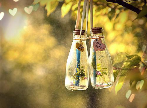 陈江苏奕涵小说目录 陈江苏奕涵完整免费版阅读