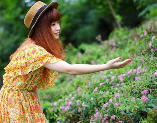 沈秀茵厉景御全文免费 沈秀茵厉景御在线阅读