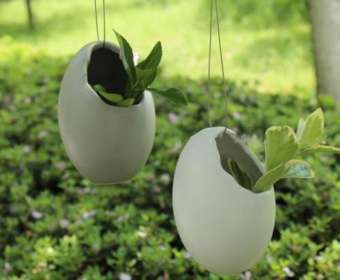 薛窈陆康宋芷小说叫什么 薛窈陆康宋芷小说全文免费阅读