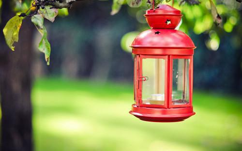 王仪琳希希的小说 重生后我放下助母情节小说免费阅读