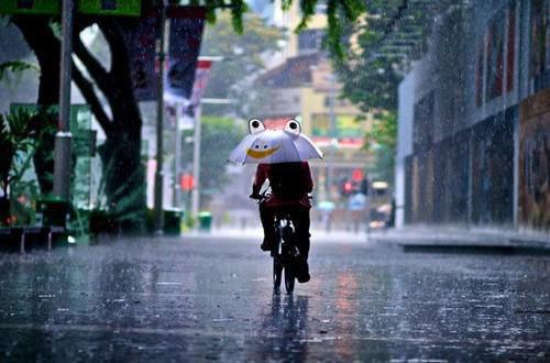 陆瑶瑶宋凛萧言小说阅读 陆瑶瑶宋凛萧言全文免费无广告