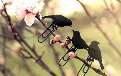 闺蜜小说名字 闺蜜全文免费阅读