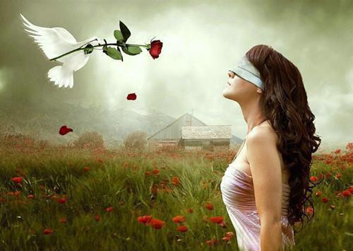 玉苏小说 玉苏全文免费阅读