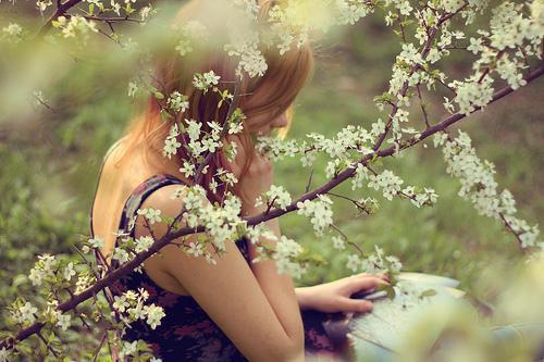 曾笑万场离分小说全文免费阅读(季如葵）小说全文免费季如葵读无弹窗大结局_（季如葵）曾笑万场离分小说小说全文免费季如葵读最新章节列表（季如葵）